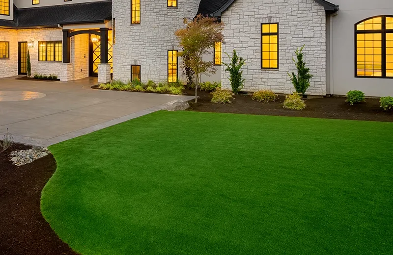 lawn